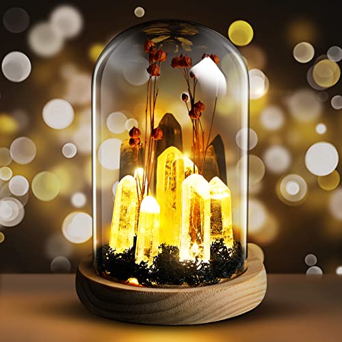 Riakrum Crystal Night Light Gifts For Women Crystal Light Led Lamp In Glass Dome Lamps For Women On Birthday Anniversary Thanksgiving Christmas Valentine's Day Mother's Day #TOP14