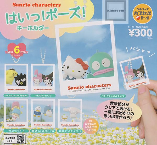 サンリオキャラクター フィギュアとキーホルダーセット コンビニなどで支払いに使えるキーホルダータイプのキャッシュ