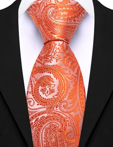 Image of Barry.Wang Paisley Tie for Men Silk Woven Necktie and Tie Clip Set Wedding Party Business Formal