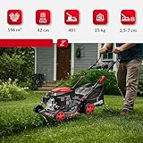 LEHMANN B0CG9KTZRL lato 4