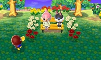 Video Game Animal Crossing: New Leaf Book