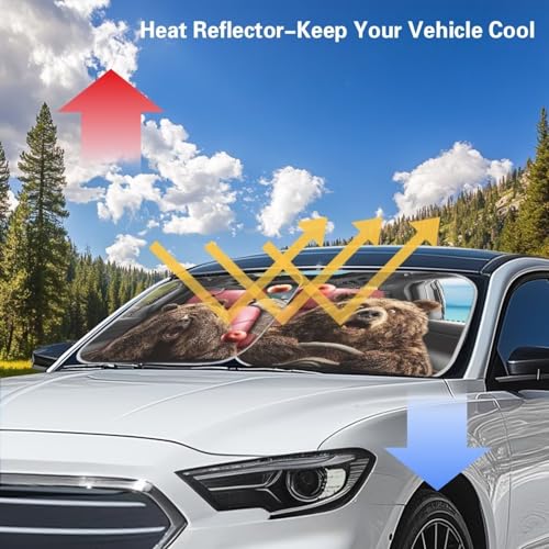 Image of Windshield Sun Shade Folding Funny Bear Drive Automotive Windshield Sunshades Heat Shield Auto Sun Visor, Auto Sun Heat and UV Rays Blocker Keep Your Car Cool, 28.5 inchx25.5 inch