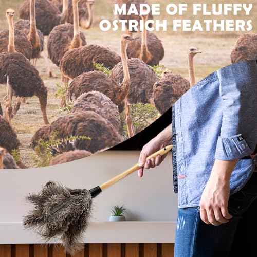 Image of Ostrich Duster, 22 inch Ostrich Duster Soft Handmade Washable, Ostrich Duster with 13 inch Wooden Handle for Cleaning
