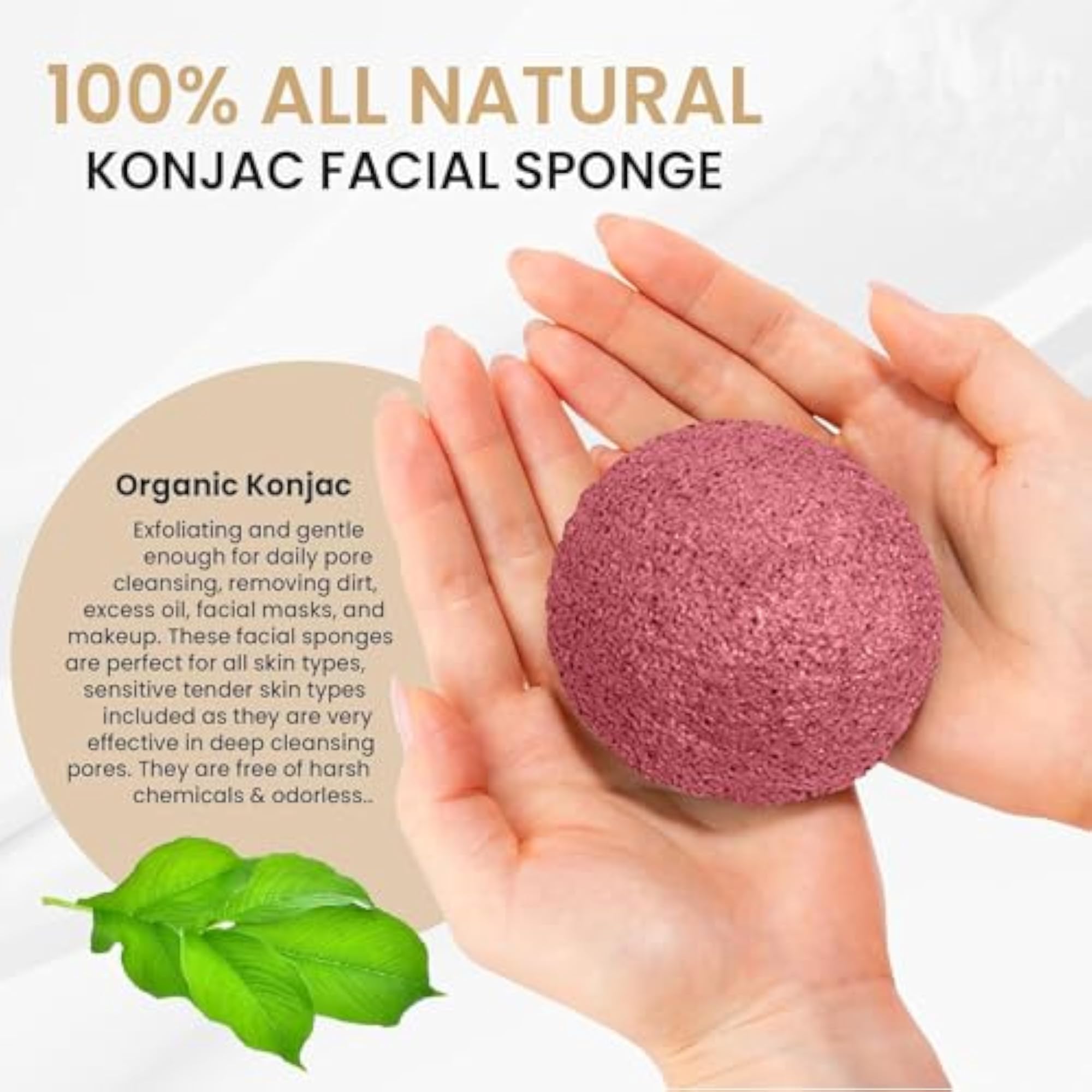 Konjac Sponge - Unisex Facial and Body Cleansing Sponge