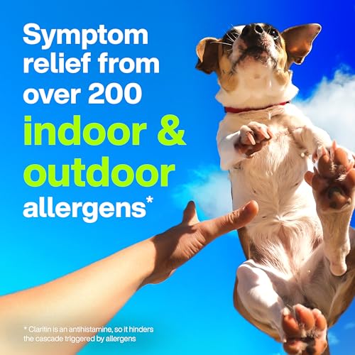 Image of Claritin Liquid, Allergy Medicine for Adults, 24-Hour Non-Drowsy Loratadine 5mg, Antihistamine, Cooling Honey Flavored, 8 fl. oz