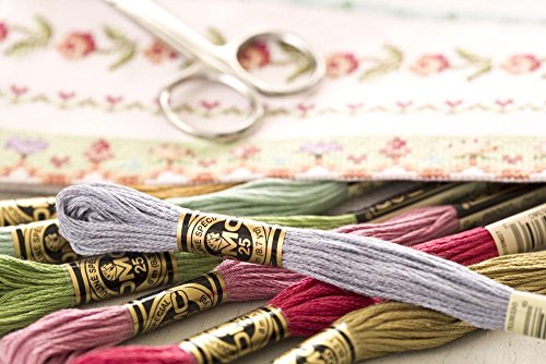 Image of DMC 117-523 Six Stranded Cotton Embroidery Floss, Light Fern Green, 8.7-Yard