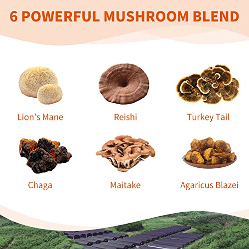 Ganoherb Maca Energy Coffee And Mushroom Complex Capsules #TOP6