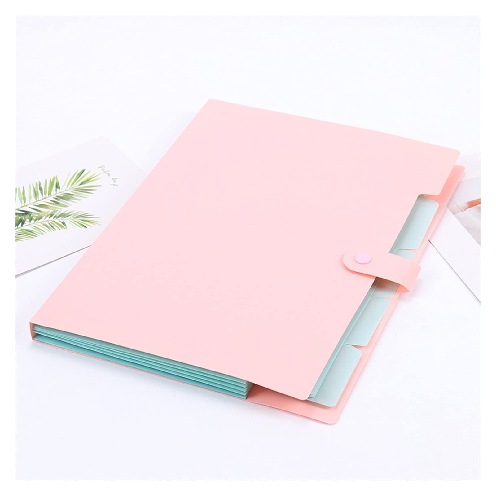 Carpeta File Document Borsa Pouch Bill Cartella Porta cartella Organizzatore Forniture for ufficio for ufficio Scuola di fissaggio in espansione Depositazioni di documenti Carpeta expandible
