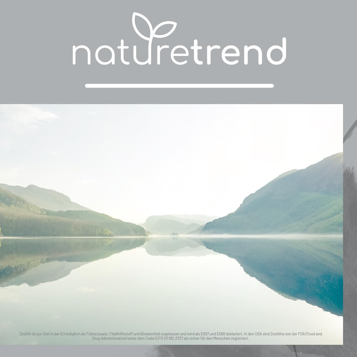 naturetrend TESTURTEIL MUY BUENO 01/24 Zeolita en polvo 1,3 kg – Natural con 94% en calidad premium – Extra finamente molido, pura y natural roca volcánica
