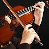 Brazilwood viola bow 4/4 with Ebony frog natural Horse Hair inlay Pearl Eye Pattern Lightweight