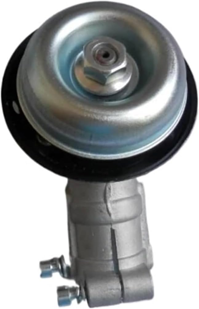 51JR8P8q8EL._AC_UF1000,