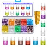 10 tipos del fusible más común: 3A / 5A / 7.5A / 10A / 15A / 20A / 25A / 30A / 35A / 40A, cada tipo incluye 12 PC, diverso AMP en diverso color y números de AMP tallados en el fusible para un fácil reconocimiento.