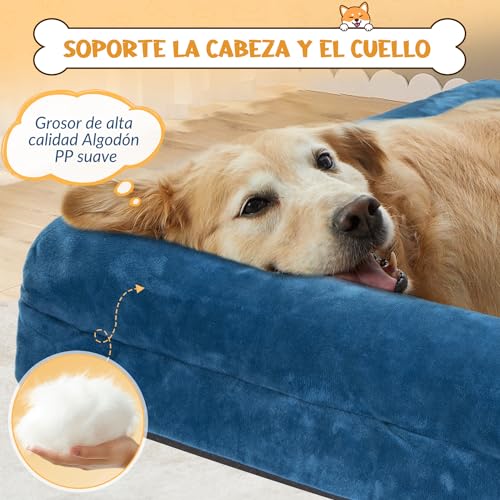 Review de Camas para perros soriana - solo los mejores. 26 Imagen adicional