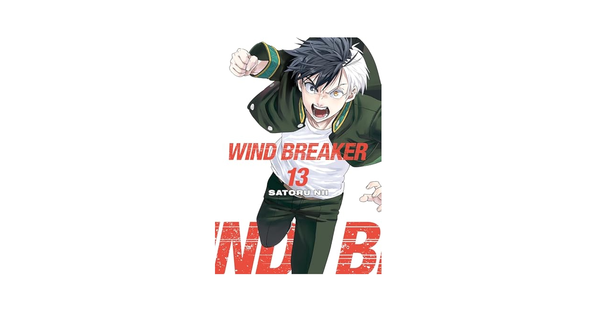 Amazon.com: WIND BREAKER Vol. 13 eBook : Nii, Satoru, Nii