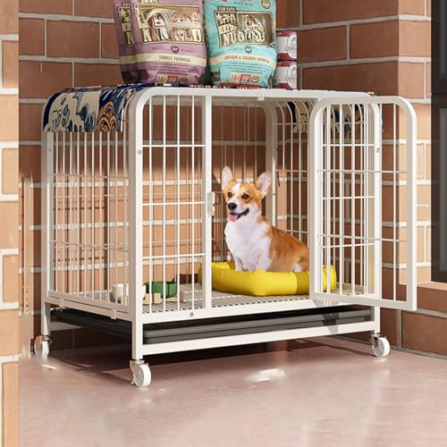 Cage pour chien indestructible, le nid de confort sécurisé