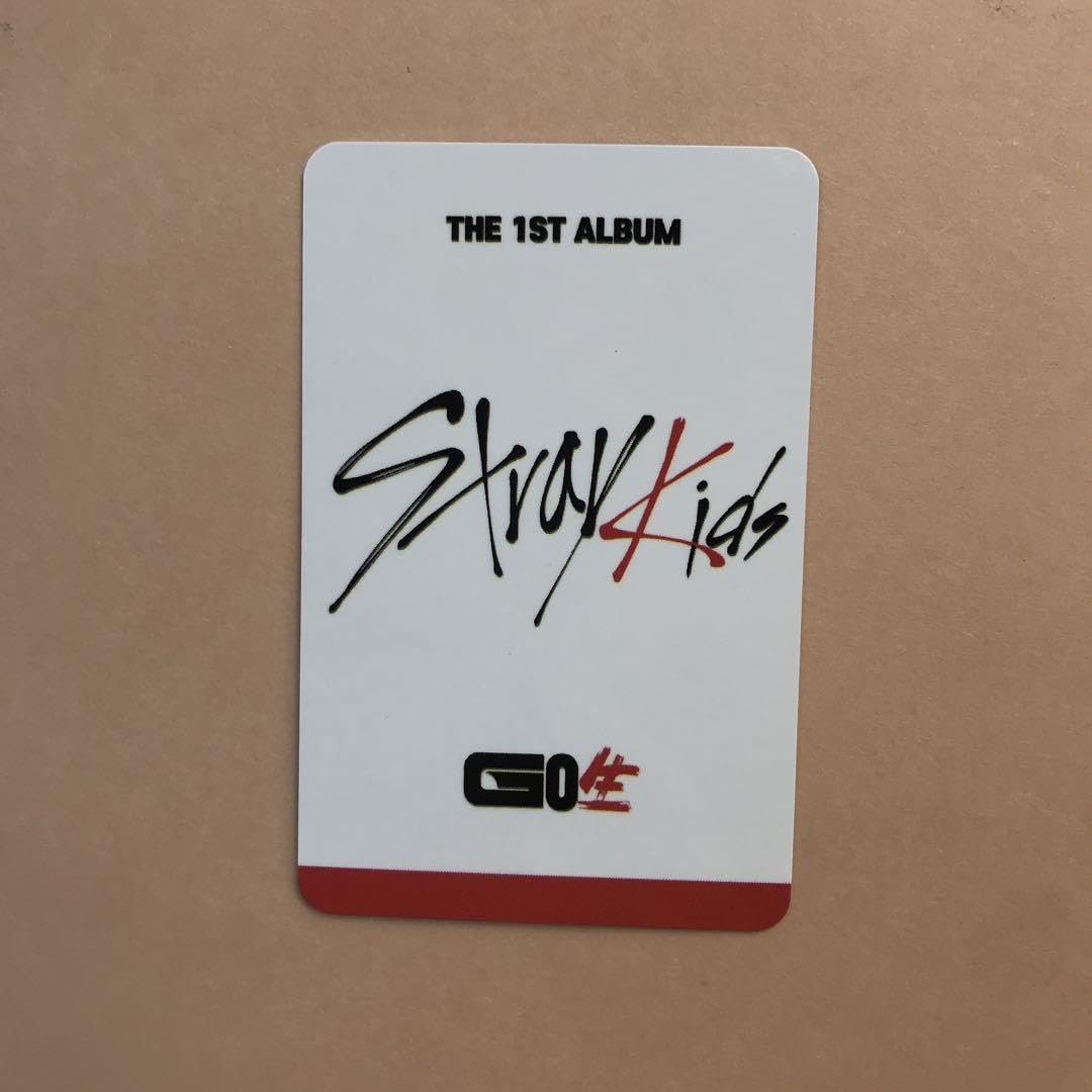 StrayKids スキズ バンチャン GO生 SUBK フォトカード トレカ