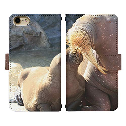 Google Pixel 10 Pro docomo �p �P�[�X �x���g���� �蒠�^ �J�o�[ �X�}�z�P�[�X di415(C) �Z�C�E�` �C�� ���[���V��