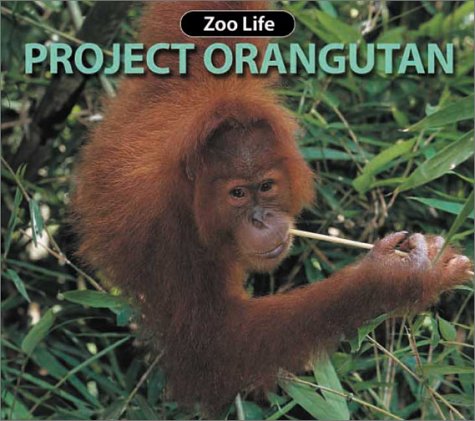 Project Orangutan (Zoo Life)