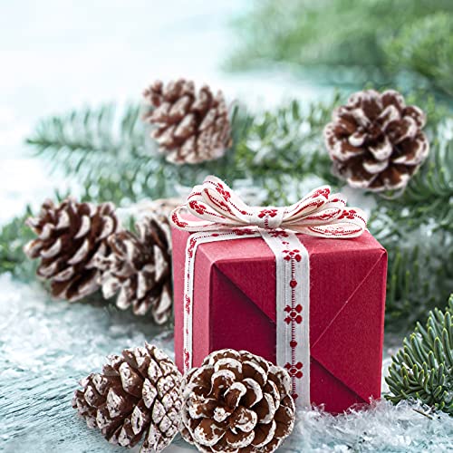 Whaline 25Pcs Christmas Natural Pine Cones Bulk Rustic Snow Pinecones with String Pine Cone Pendant Winter Holiday Hanging Ornament for Xmas Tree Gift Tag Party Decoration, 1.6-2 Inch