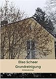 Grundreinigung: Kriminalroman