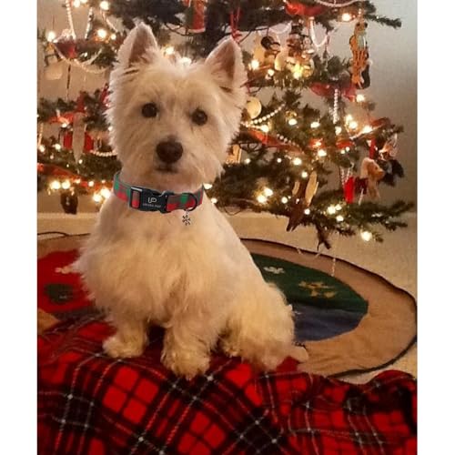 Image of Christmas Dog Collar, Red and Green Plaid Adjustable Pet Collar with Snowflake Charm, Holiday Dog Accessories for Small Medium Large Dogs
