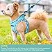 haapaw Hundegeschirr und Leine Set, kein Ziehen, verstellbares, reflektierendes Step-in-Welpengeschirr mit Dicker, gepolsterter Weste für extra kleine/kleine mittelgroße Hunde