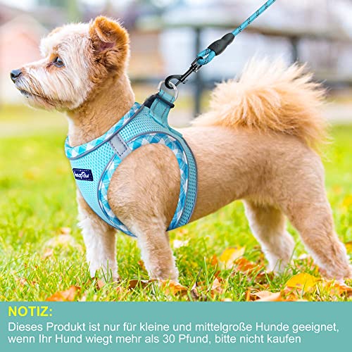 haapaw Hundegeschirr und Leine Set, kein Ziehen, verstellbares, reflektierendes Step-in-Welpengeschirr mit Dicker, gepolsterter Weste für extra kleine/kleine mittelgroße Hunde