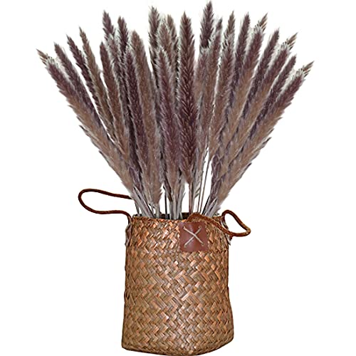 Pampasgras gedroogde decoratie, 30 stuksnatuurlijk gedroogd Phragmites planten droogbloemen decoratie bloemen vaas voor… - Afbeelding 3