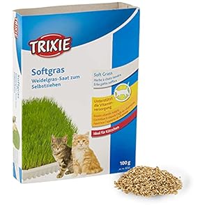 Trixie Katzengras Schale, ideal für Kätzchen, ca. 100 g/Schale