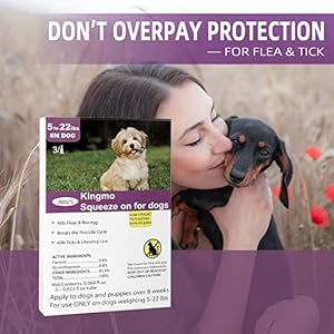 Flea and Tick Prevention for Dogs Dogs Flea  Tick Treatment with Fipronil Longlasting  Fastacting Topical Flea  Tick Control Drops 6 Dose 522lbs  Cucciolini Doodles Flea and tick prevention for dogs dogs flea  tick treatment with fipronil long lasting  fast acting topical flea  tick control drops 6 dose 5 22lbs   cucciolini doodles