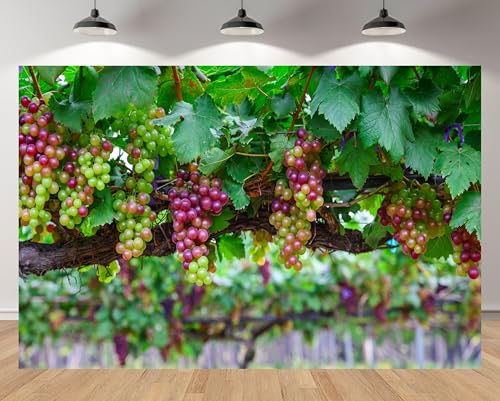 Fondo Fotográfico Tema Uvas 7x5FT Colorido