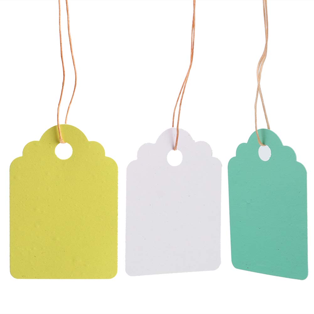 300 étiquettes De Jardin Réutilisables - PVC Imperméable Avec Ficelle - Pour Plantes En Pot, Arbres, Serre - 3,6x2,5cm (lot De 300)