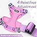 rabbitgoo Cat Harness and Leash for Walking, Escape Proof Soft Adjustable Vest Harnesses for Cats, Easy Control Breathable Reflective Strips Jacket, Pink & Purple, XS