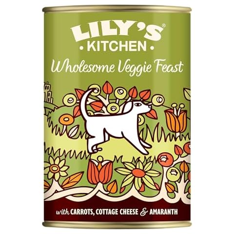 Lily's Kitchen Wholesome Veggie Feast Wet Dog Food Cover