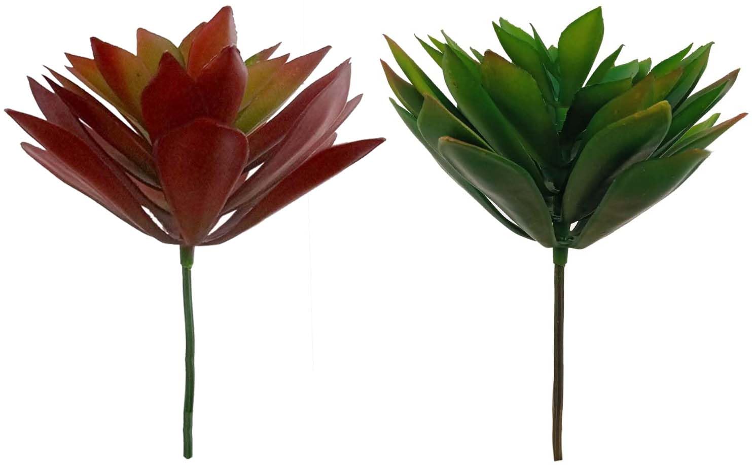 Artificial Plant or Fake Plants Small Succulent Plant for Office & Home Decoration (Set of 2 Pcs, Red & Green)