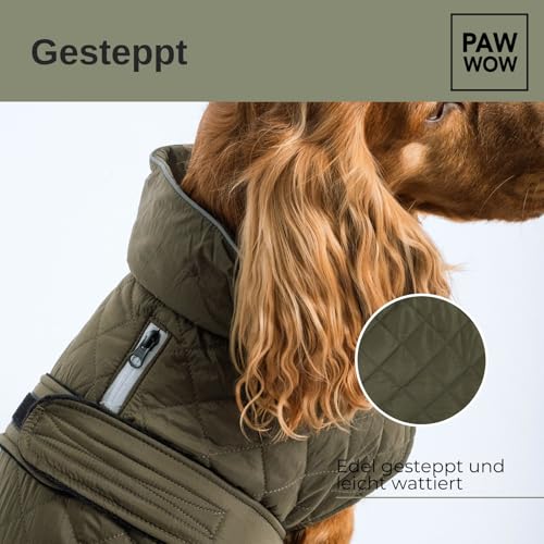 PAW WOW Fritz Hundemantel | Hundejacke mit Bauchschutz und Klettverschluss | Hundejacke Winter für kleine und mittelgroße Hunde (Olive, S)