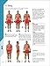 The Strength Training Anatomy Workout: Starting Strength with Bodyweight Training and Minimal Equipment