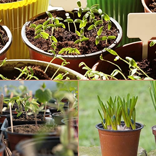 Kinglake Garden Plastic Plants Nursery Pots,6 Inch 120 Pcs Seed Starting Pots,Plastic Plant Pots With Drainage Holes,Seedling Flower Plant Container For Succulents,Cuttings,Seedlings thumb #6