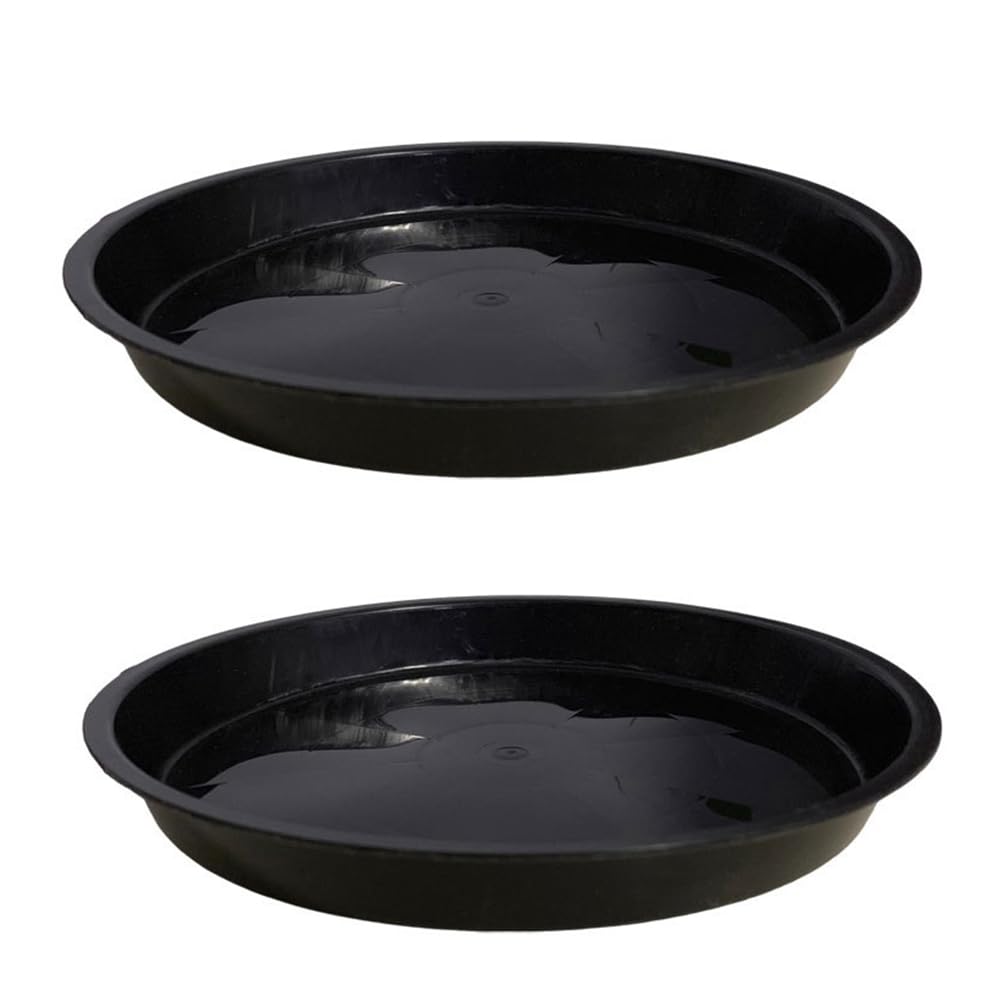 Mengger 150Pcs Pots de Plantes en Plastique Pots de Fleurs jardinières pour Plantes sous-Verres