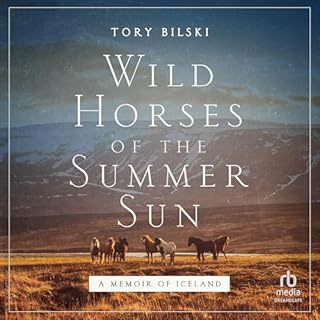 Wild Horses of the Summer Sun cover art