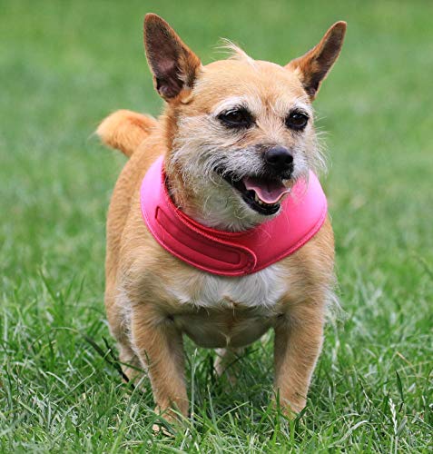 Pañuelo de lujo para perros: mantén a tu perro fresco este verano, reversible para 2 colores, hecho a mano en el Reino Unido, Cerrador ajustable, pequeño plateado/rosa