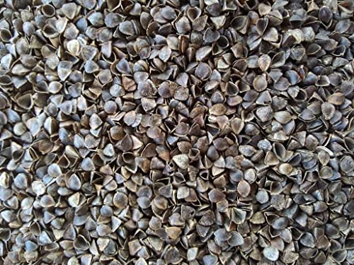 Image of Buckwheat Hulls Pillow | Standard Size | 15 inch x 25 inch inch | Pillow for Neck Pain | Shoulder Pain | Back Pain | Other Sleeping Problem | (Splashed White)