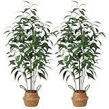 Photo Gallery ferrgoal albero artificiale di eucalipto, 100 cm, pianta finta in vaso per decorazione di casa e ufficio, piante artificiali in vaso per interni ed esterni, decorazione realistica della casa, Photo Gallery ferrgoal albero artificiale di eucalipto, 100 cm, pianta finta in vaso per decorazione di casa e ufficio, piante artificiali in vaso per interni ed esterni, decorazione realistica della casa,