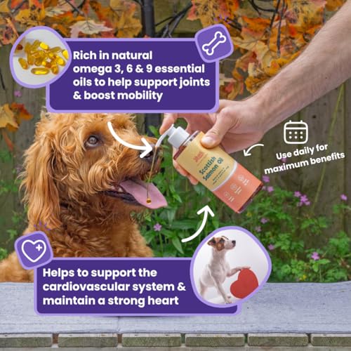YEARS 100% Pure Salmon Oil for Dogs & Hemp Seed Oil for Dogs Double Pack Rich in Omega 3, 6 & 9 Dog Calming Supplements for Joints Skin & Coat Health - 2 x 250ml - Image 4