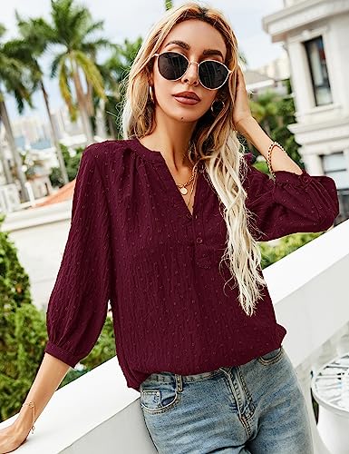 LOMON Women's Casual 3/4 Sleeve Henley V-Neck Button Up Pleated Back Blouses Swiss Dot Blouse Tops T-Shirts S-XXL3