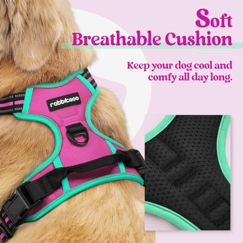 Image of rabbitgoo Dog Harness No Pull with 2 Leash Clips, Adjustable Soft Padded, Reflective Oxford No Choke Pet Vest with Easy Control Handle for Large Dogs, Hot Pink & Turquoise, XL