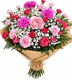 Homeland Florists Fresh Flowers – Elegant Pink Flower Bouquet of Carnations & Gypsophila - Perfect Long Lasting Floral Gift for Birthday, Thank You, Sympathy, Get Well & Thinking of You