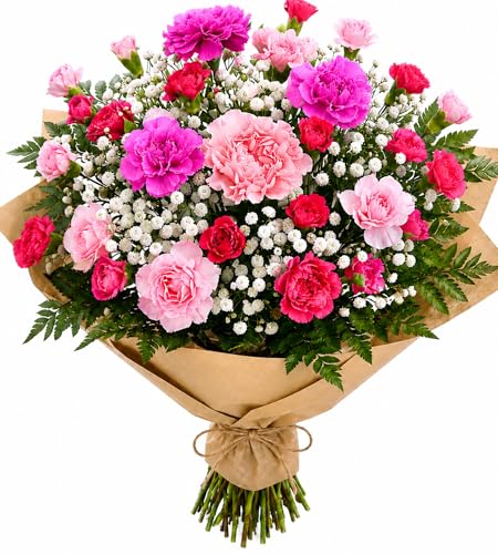 Homeland Florists Fresh Flowers Elegant Pink Flower Bouquet of Carnations & Gypsophila - Long Lasting Floral Gift - Perfect for Birthday Thank You Sympathy Get Well & Thinking of You