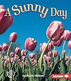A Sunny Day (First Step Nonfiction ― Weather)