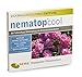 Produktbild nematop® cool HB+SF Nematoden zur Bekämpfung des Dickmaulrüsslers - 10 Mio. für 20m²